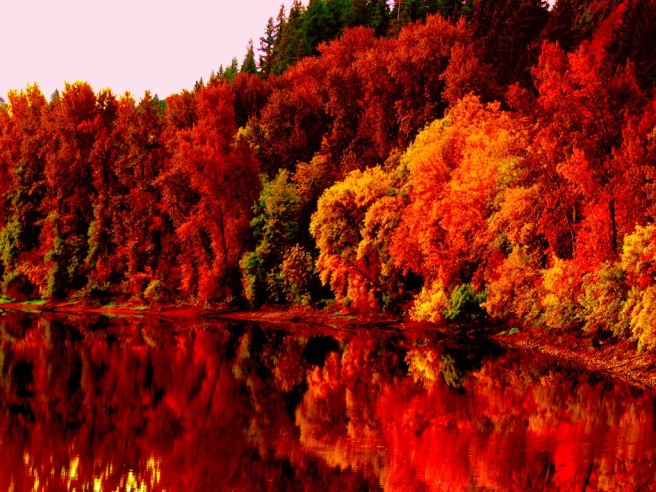 autumn-lake-hd-wallpaper-1